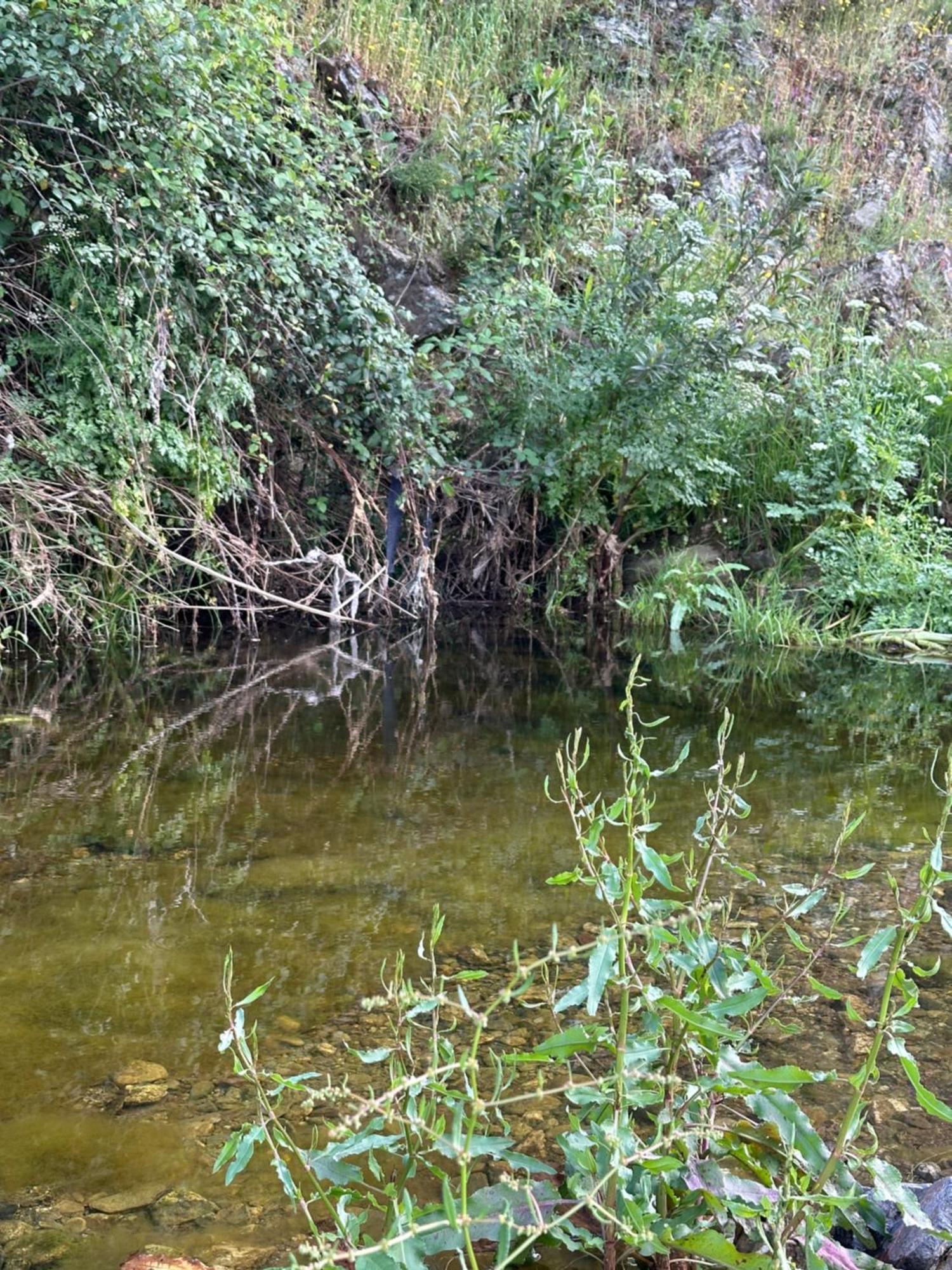 Casa Rural Quejigo Con Piscina سانتا أولالا ديل كالا المظهر الخارجي الصورة